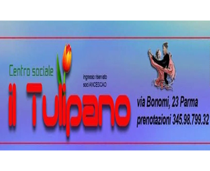 Il Tulipano