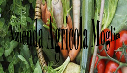 Azienda Agricola Moglia
