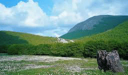 Monte Cappuccio Park