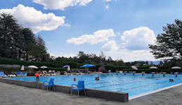 banner piscina bedonia