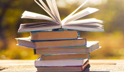 Biblioteca Comunale Bore