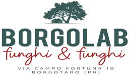 Borgolab