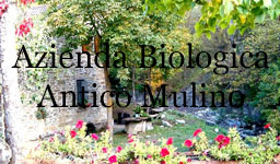 Azienda Agricola Bio Antico Mulino