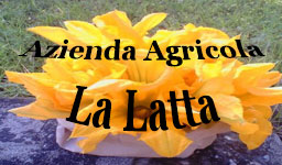 Azienda Agricola La Latta