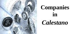 banner aziende calestano