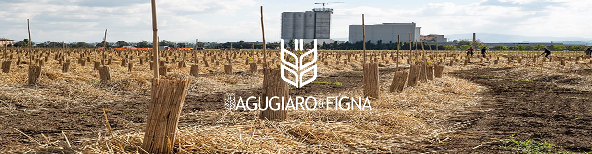 Molino Agugiaro&Figna