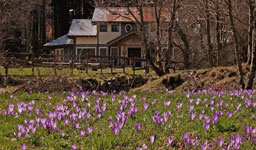 Rifugio Lagdei