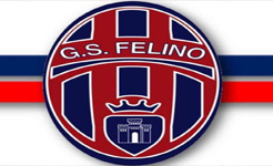 banner.piccolo.felino calcio