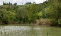 Fishing Lake Farmhouse il Tondino