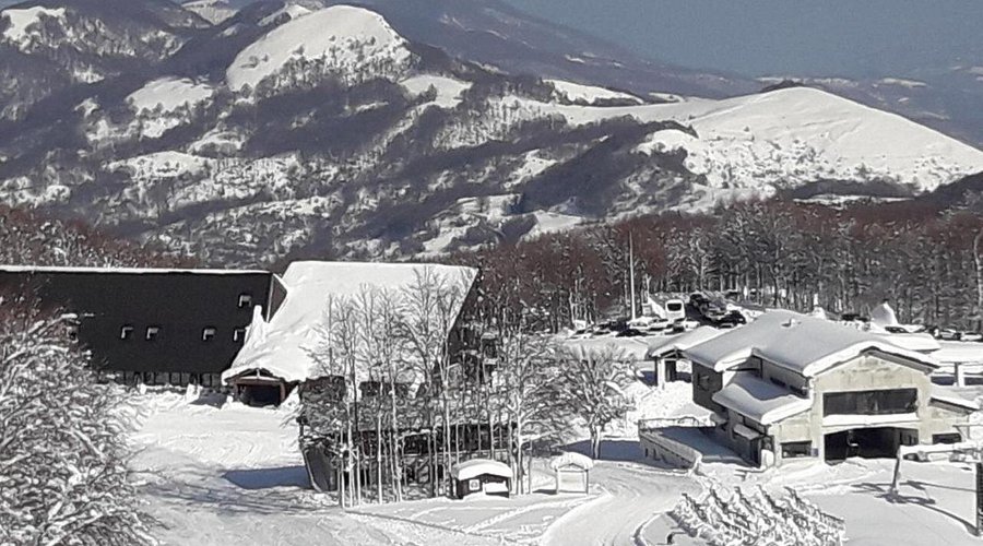 prato spilla neve