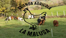 Azienda agricola La Malusa