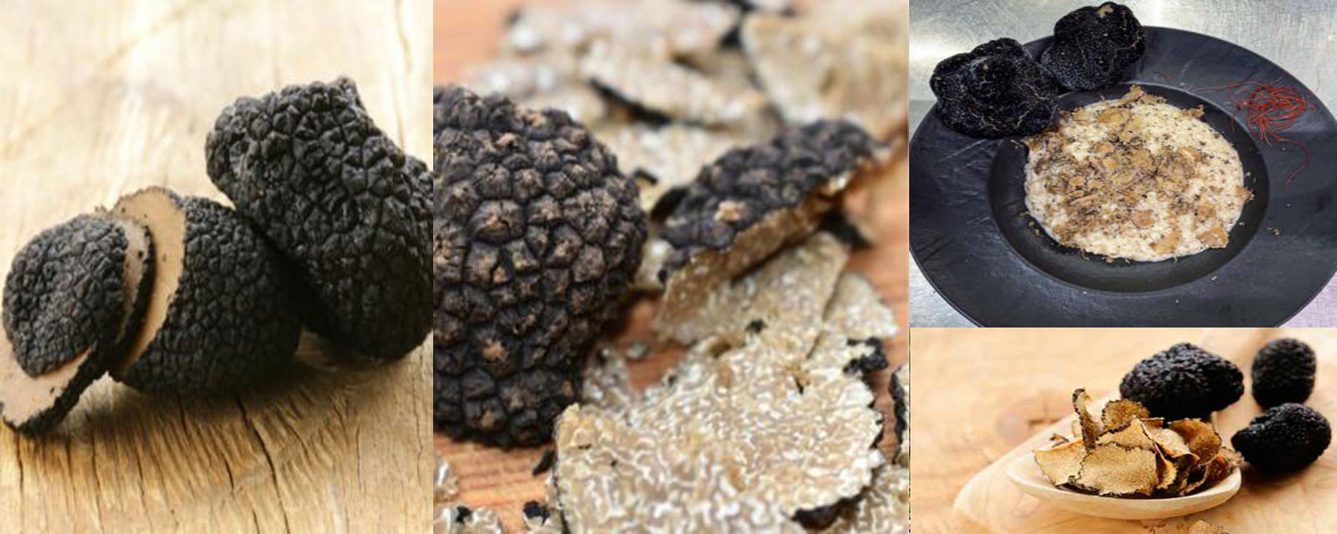 Bedonia Truffle Fair 2026